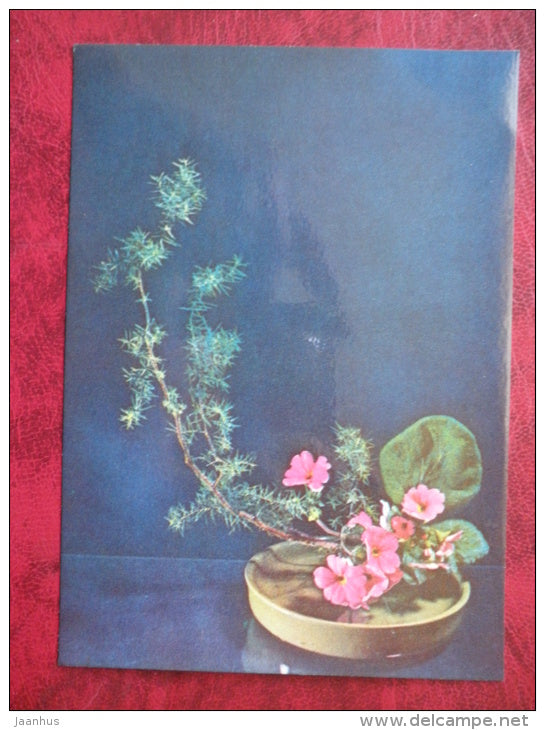 flower composition, ikebana - Courage - primrose - juniper - 1980 - Estonia USSR - unused - JH Postcards