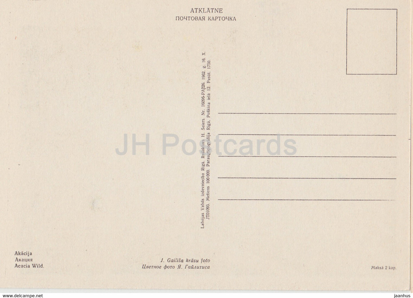 Acacia - fleurs - plantes - 1962 - Lettonie URSS - inutilisé