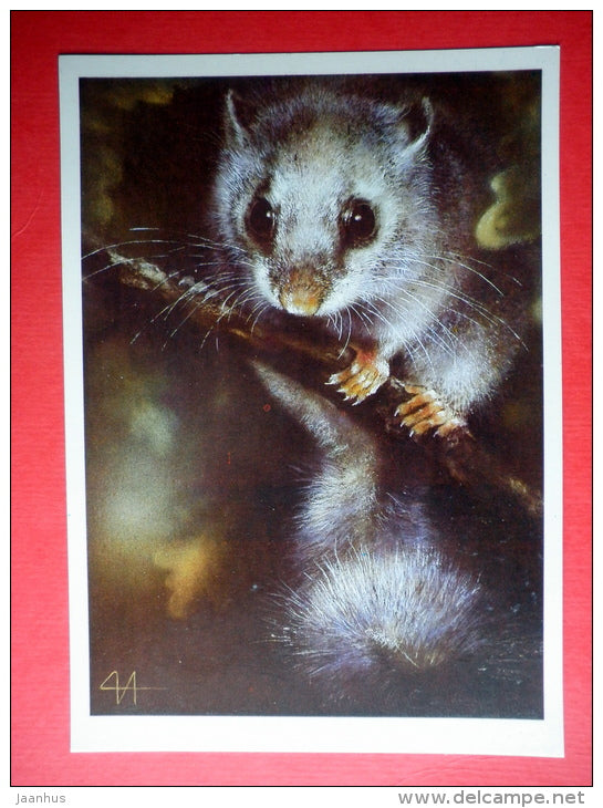 illustration by A. Isakov - Edible dormouse , Glis glis - animal - 1989 - Russia USSR - unused - JH Postcards