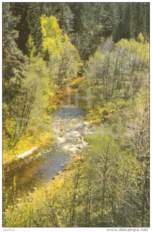 The Amata river near Melturi - Latvia USSR - unused - JH Postcards