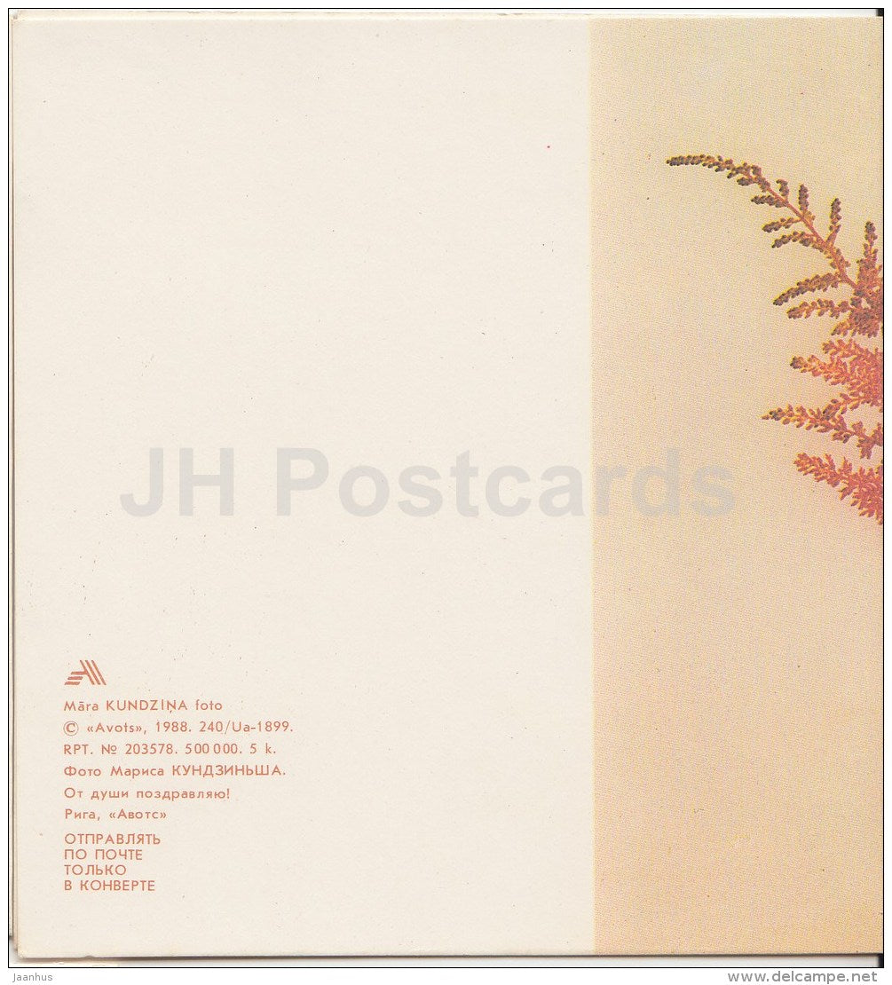 mini Greeting card by - flowers in the vase - 1988 - Latvia USSR - unused - JH Postcards