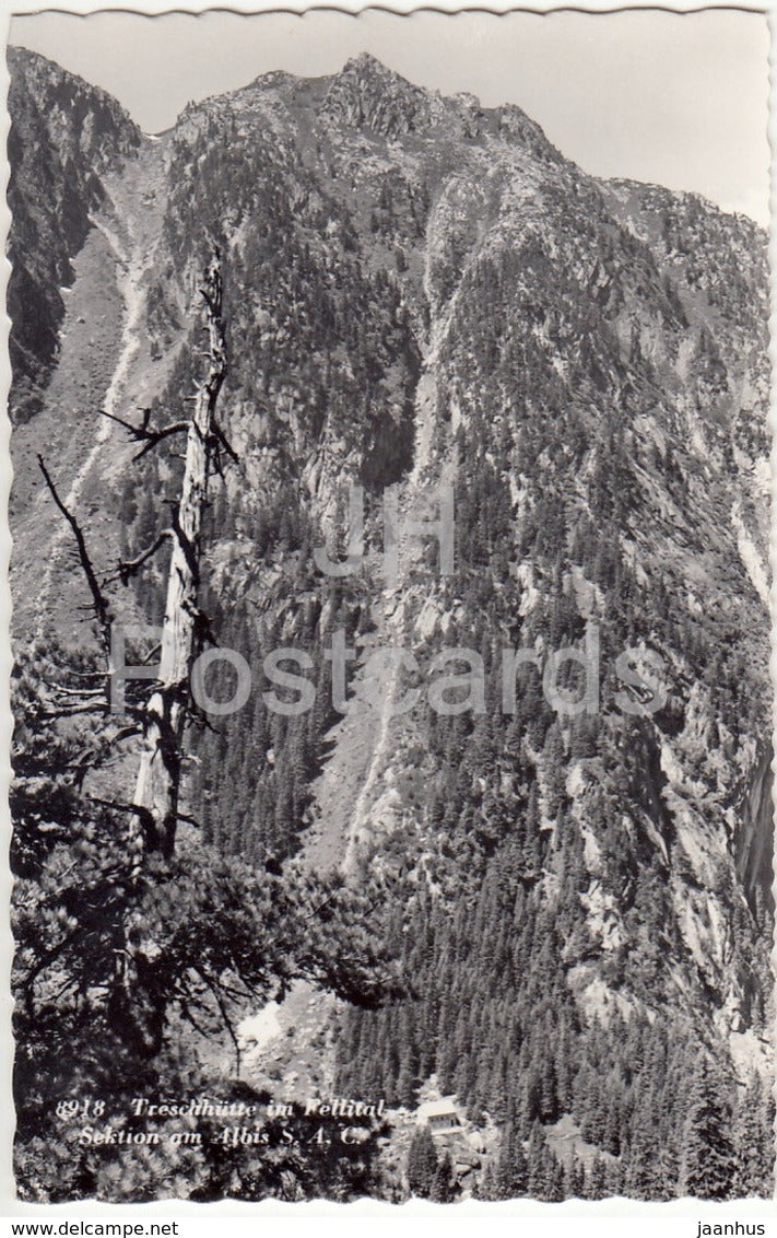 Treschhutte im Fellithal - Sektion am Albis - Touristenhutte Bergfrieden - 8918 - Switzerland - old postcard - unused - JH Postcards