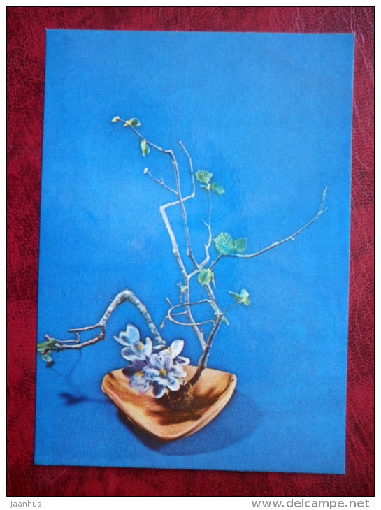 flower composition, ikebana - Complex Situation - hazel - crocus - 1980 - Estonia USSR - unused - JH Postcards