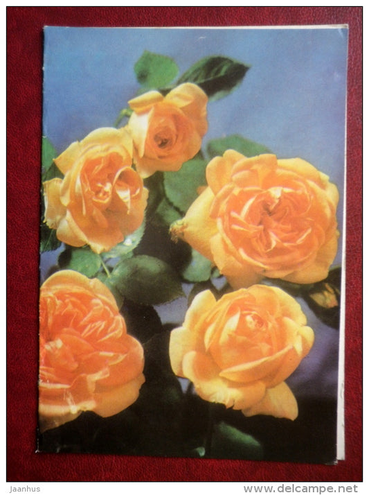 Greeting Card - yellow roses - flowers - 1976 - Russia USSR - used - JH Postcards