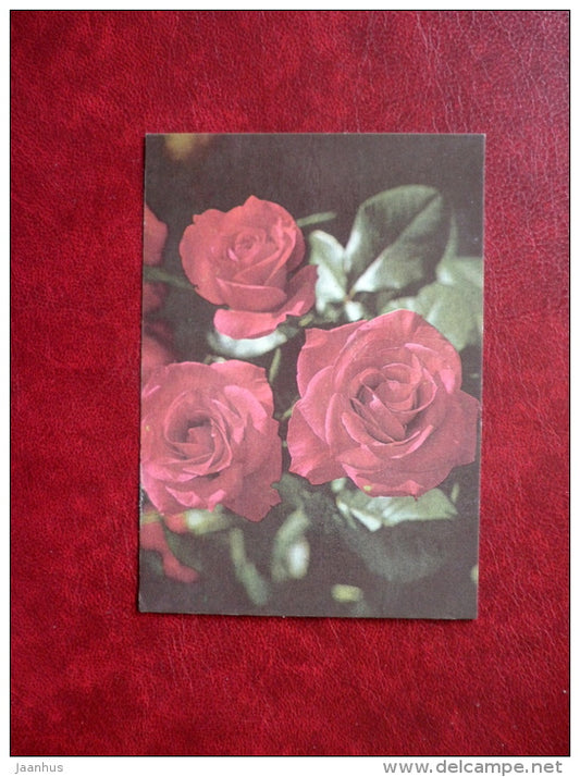 Mini Greeting card - red roses - flowers - 1986 - Estonia USSR - unused - JH Postcards