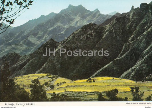 Tenerife - Canary Island - Anaga mountain - Spain - unused - JH Postcards