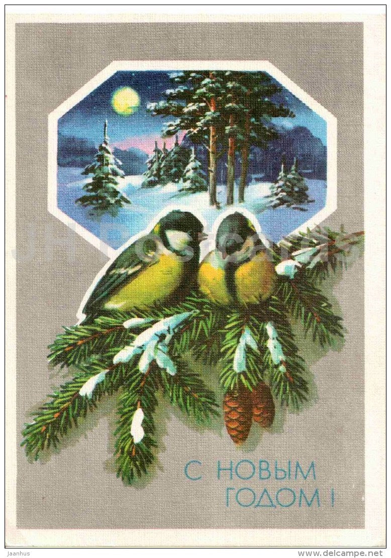 New Year greeting card by Y. Kurtenko - tits - fir cones - postal stationery - 1990 - Russia USSR - used - JH Postcards