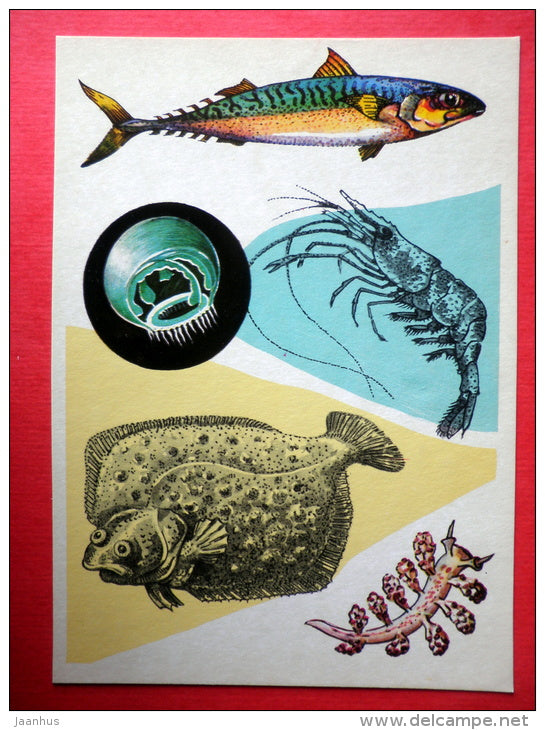 Mackerel - Baltic prawn - Idulia - Turbot Flatfish - Marine Life - 1979 - Russia USSR - unused - JH Postcards