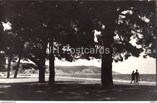 Pitsunda resort - Abkhazia - 1968 - Georgia - USSR - used - JH Postcards