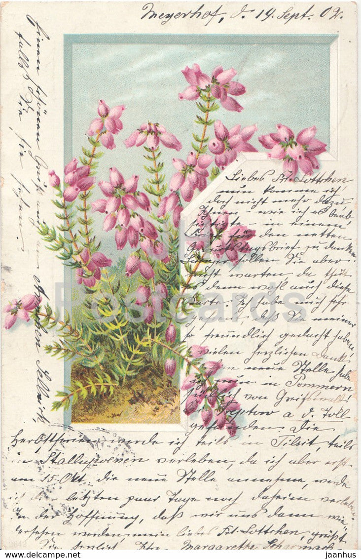 flowers - illustration - old postcard - 1902 - used - JH Postcards