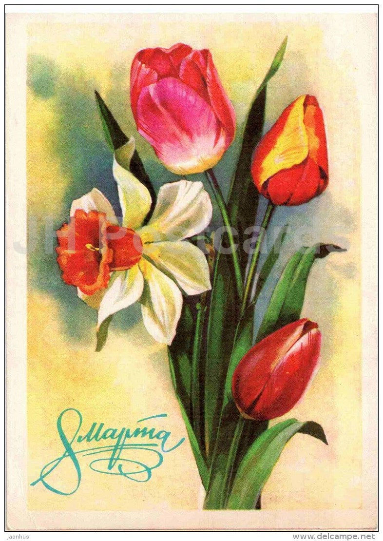 8 March International Women's Day greeting card - narcissus - tulips - postal stationery - 1981 - Russia USSR - used - JH Postcards