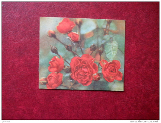 Mini Greeting Card - red roses - flowers - 1978 - Estonia USSR - unused - JH Postcards