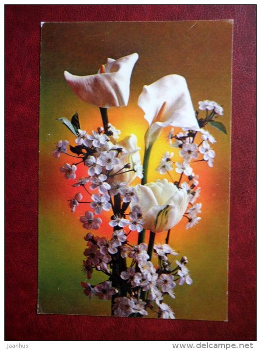 Greeting Card - calla - flowers - 1976 - Russia USSR - used - JH Postcards