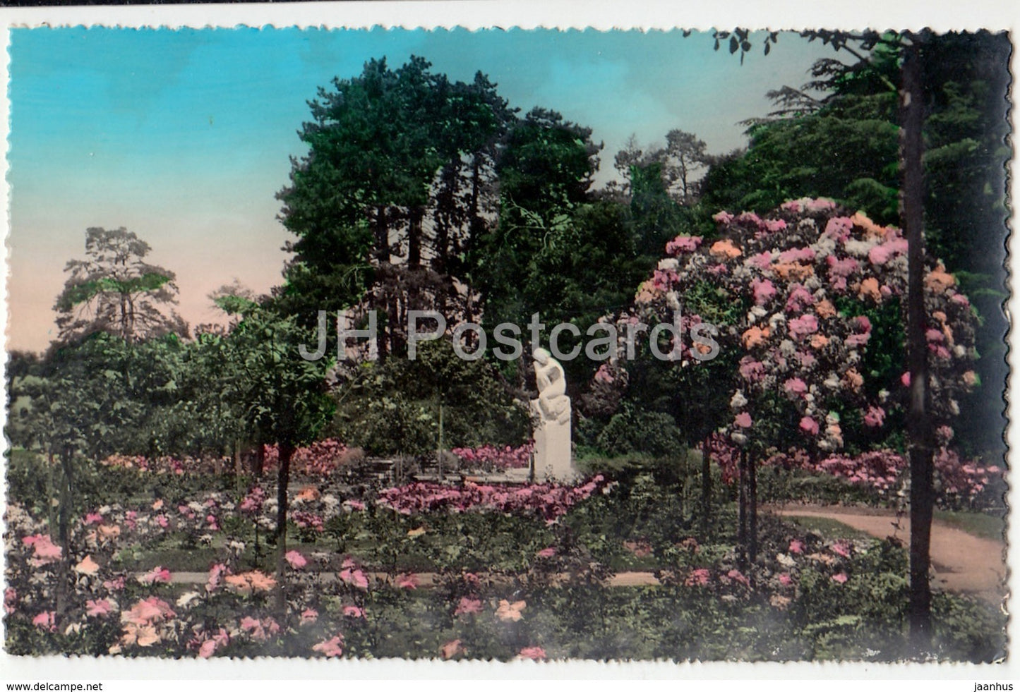 Geneve - Geneva - Parc de le Grang - La Roseraie - 9014 - Switzerland - old postcard - unused - JH Postcards