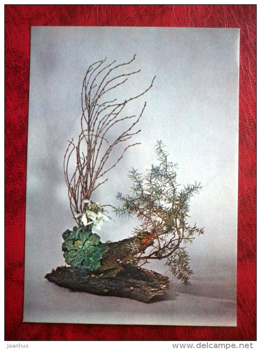 flower composition, ikebana - Modesty - juniper - snowdrop - 1980 - Estonia USSR - unused - JH Postcards