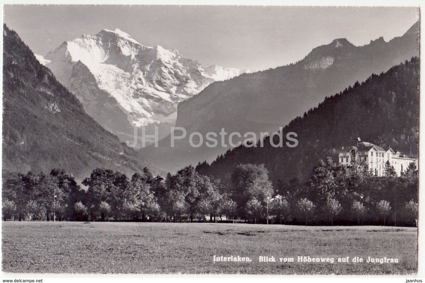 Interlaken - Blick von Hohenweg auf die Jungfrau - 7864 - Switzerland - 1958 - used - JH Postcards