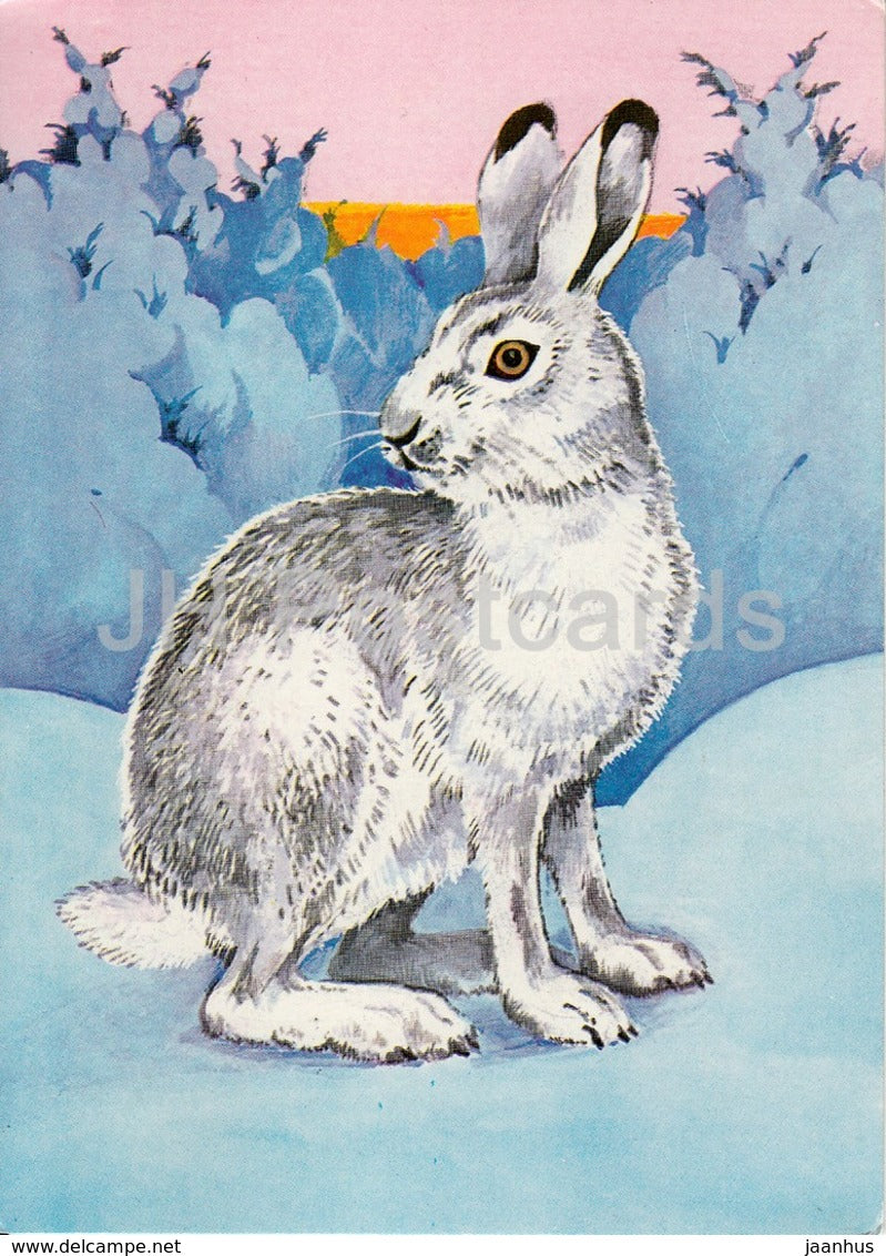 illustration by T. Tulev - hare - rabbit - 1989 - Estonia USSR - unused - JH Postcards