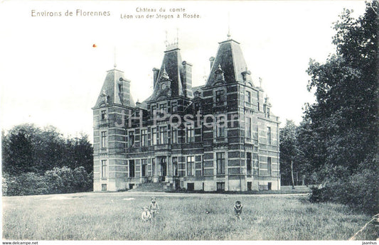 Environs de Florennes - Chateau de Comte - Leon van der Stegen a Rosee - old postcard - 1919 - Belgium - used - JH Postcards