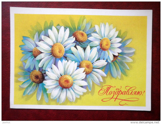 Greeting Card- by A. Savin - daisies - flowers - 1981 - Russia USSR - unused - JH Postcards