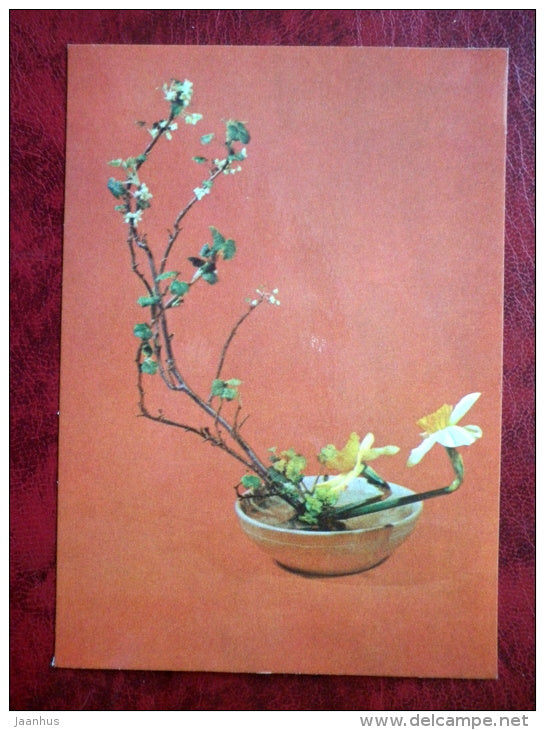 flower composition, ikebana - Passion - narcissus - 1980 - Estonia USSR - unused - JH Postcards