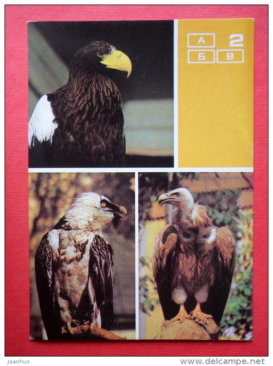 Steller´s sea eagle - Bearded vulture - Himalayan vulture - Moscow Zoo Birds - 1988 - Russia USSR - unused - JH Postcards