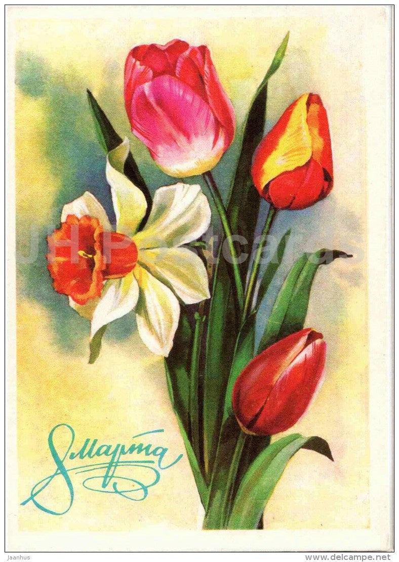 8 March International Women's Day greeting card - narcissus - tulips - postal stationery - 1981 - Russia USSR - unused - JH Postcards