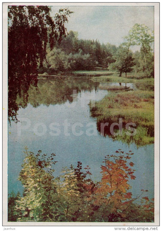 forest lake - 1965 - Russia USSR - unused - JH Postcards