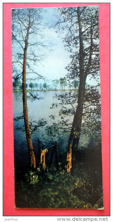 Amber Bay at Juodkrante - Neringa - mini format card - 1970 - USSR Lithuania - unused - JH Postcards