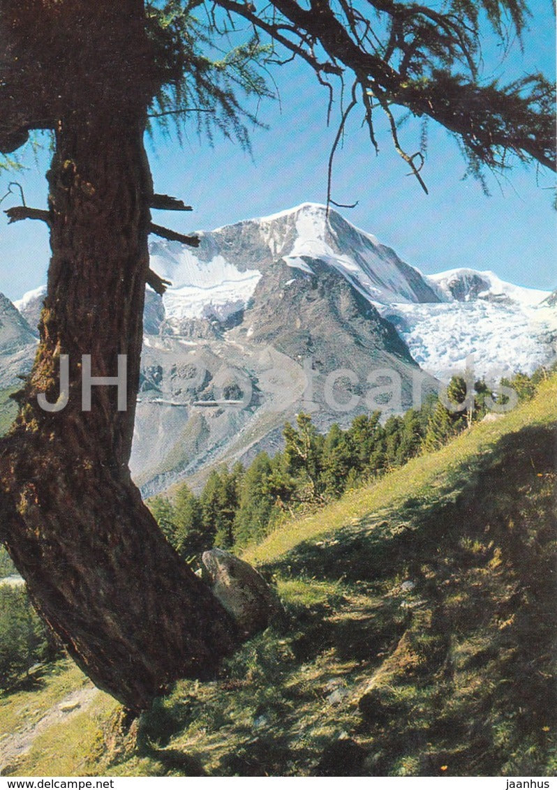 Arolla - Valais - le Pigne d'Arolla 3796 m - 14019 - 1974 - Switzerland - used - JH Postcards