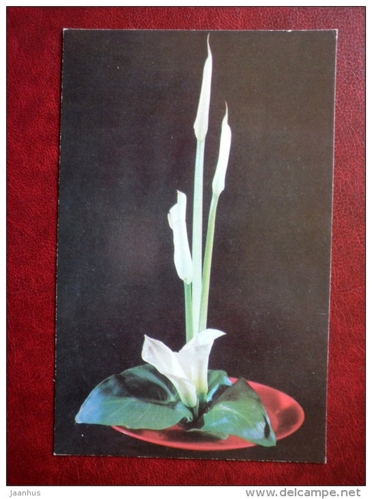 Greeting Card - calla - flowers - 1975 - Russia USSR - unused - JH Postcards