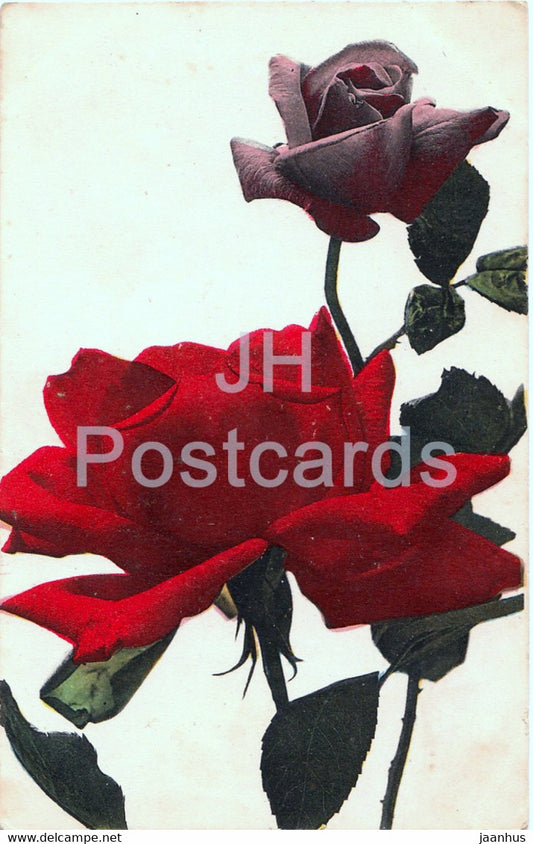 flowers - roses - Serie No 702 - old postcard - France - used - JH Postcards