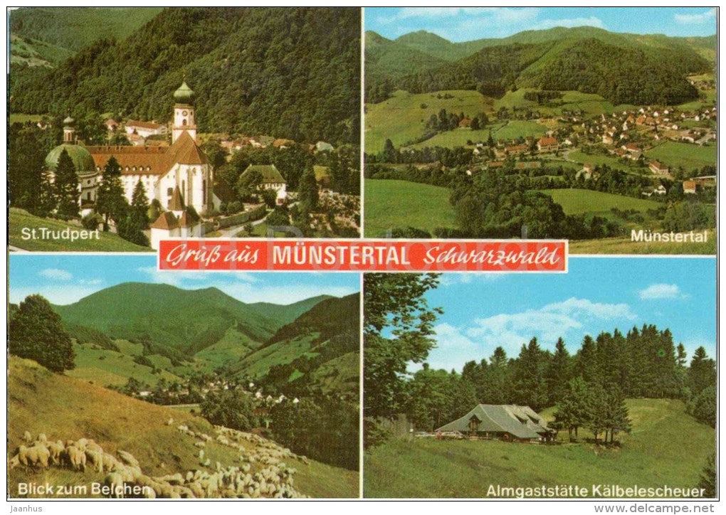 Gruss aus Münstertal - St. Trudpert - Kälbelesheuer - sheep - mountain - Germany - 1985 gelaufen - JH Postcards