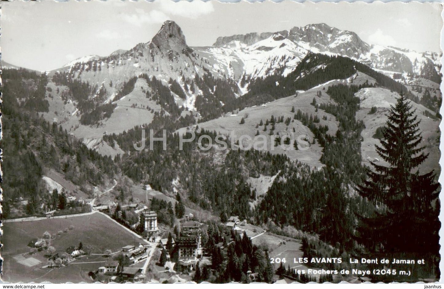 Les Avants - LA Dent de Jaman et les Rochers de Naye 2045 m - 204 - old postcard - Switzerland - unused - JH Postcards