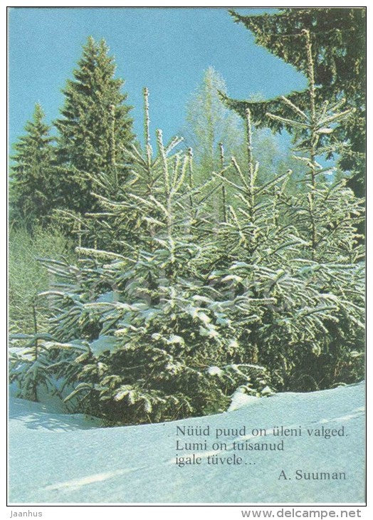 New Year Greeting card - 1 - winter forest - 1984 - Estonia USSR - unused - JH Postcards