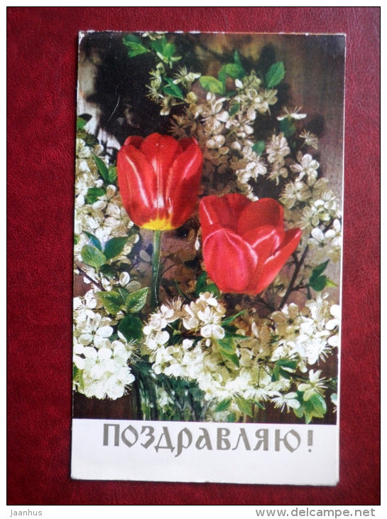 Greeting Card - tulip - flowers - 1975 - Russia USSR - used - JH Postcards