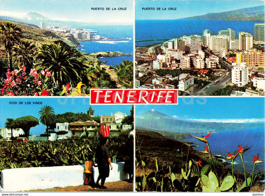 Tenerife - Puerto de la Cruz - Icod de los Vinos - Canary Islands - 5903 - Spain - unused - JH Postcards