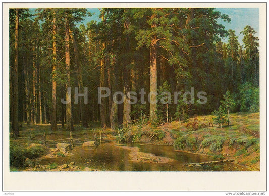 painting by I. Shishkin - Grove of Mast-Trees , 1898 - Russian art - Russia USSR - used - JH Postcards