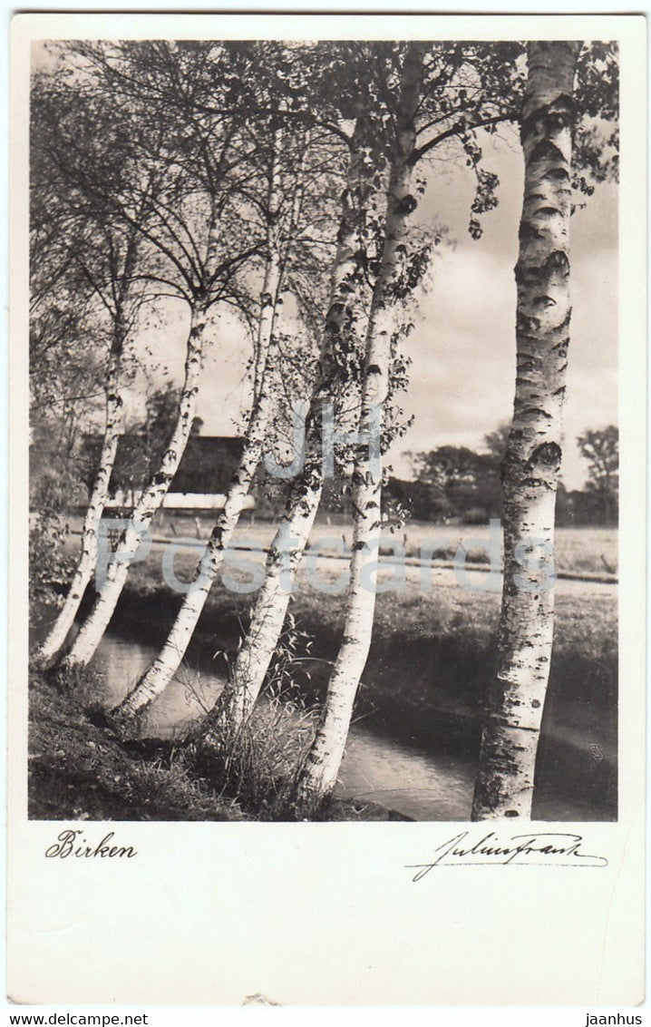 Birken - birch - PFB - old postcard - 1934 - Germany - used - JH Postcards