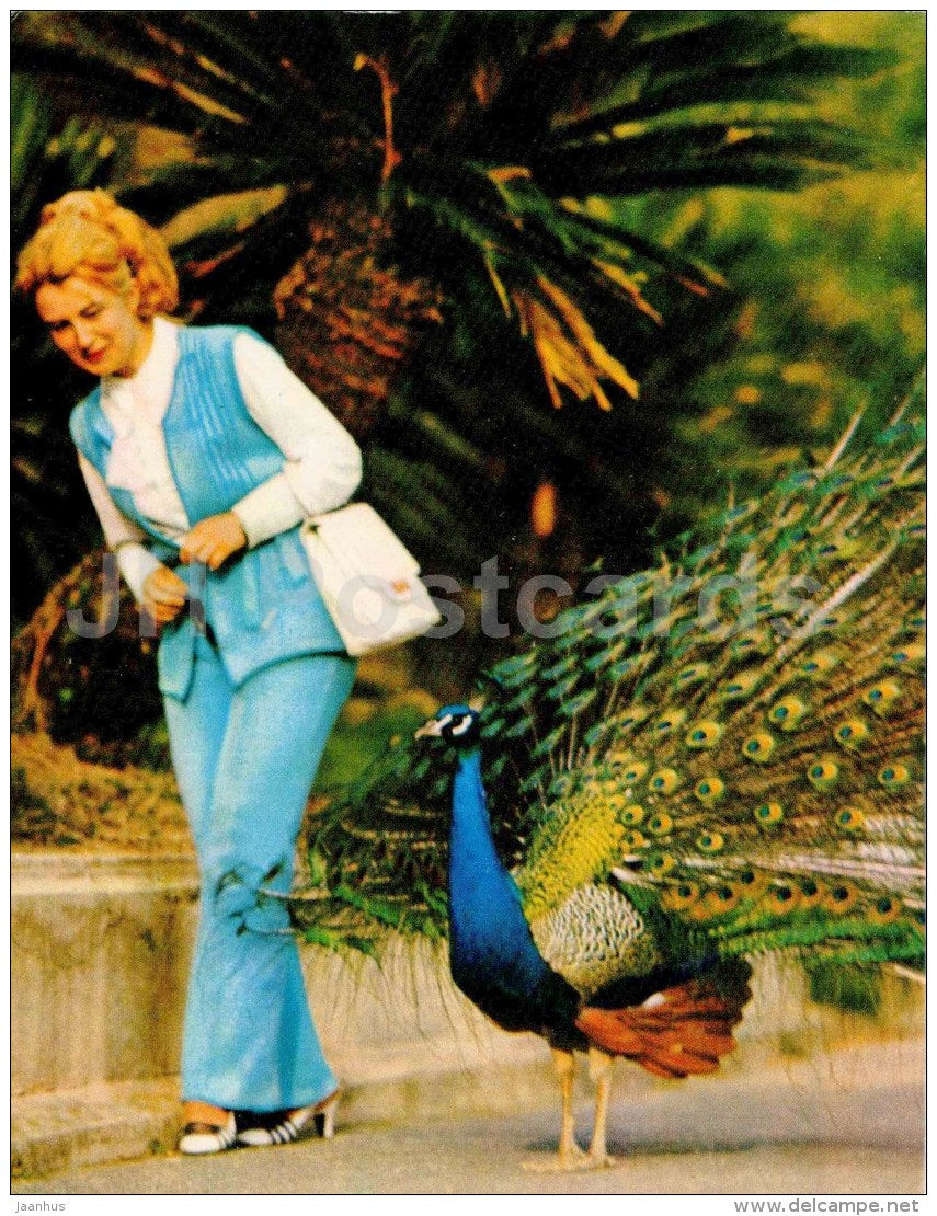 peacock - bird - Sochi Dendrarium - 1972 - Russia USSR - unused - JH Postcards