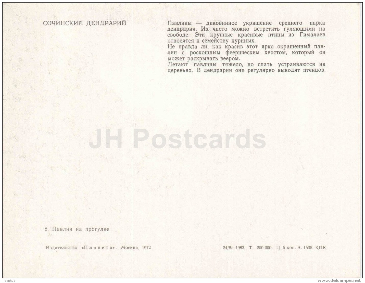 peacock - bird - Sochi Dendrarium - 1972 - Russia USSR - unused - JH Postcards