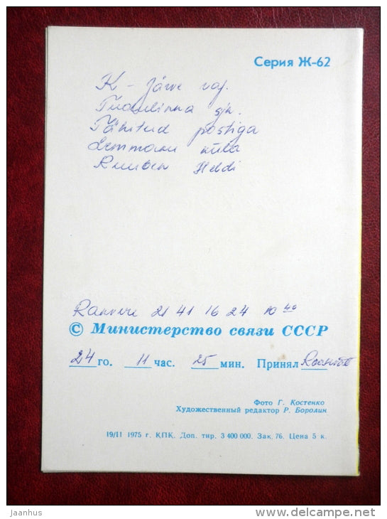 carnation - flowers - 1975 - Russia USSR - used - JH Postcards