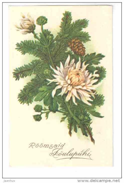 Christmas Greeting Card - flowers - cones - REPRODUCTION ! - 1990 - Estonia USSR - unused - JH Postcards