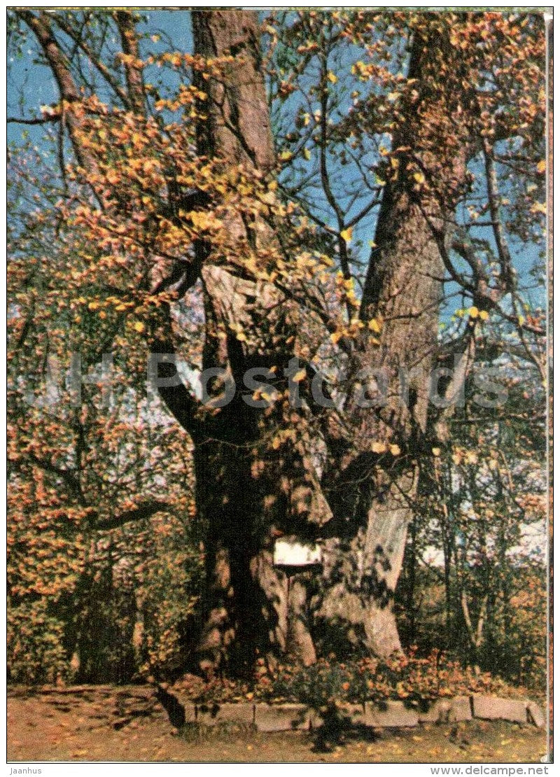 Grave of Turaida Rose - Sigulda views - 1963 - Latvia USSR - unused - JH Postcards