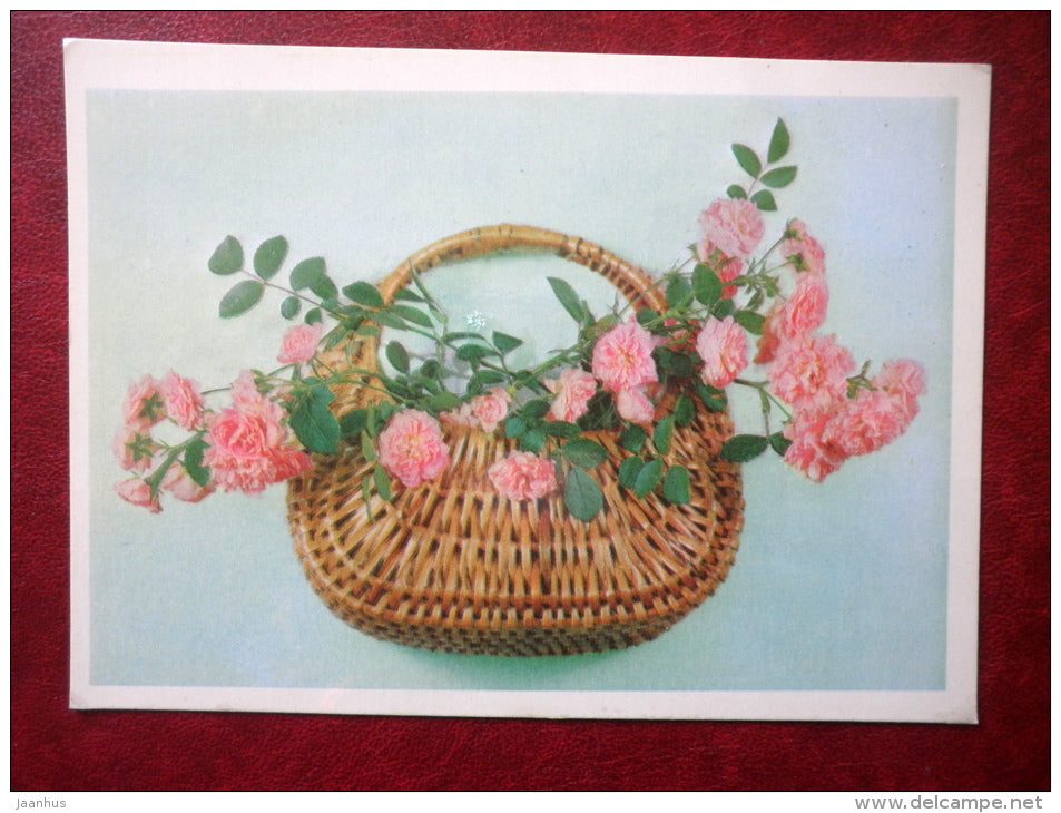 Greeting Card - pink roses in a basket - flowers - 1975 - Russia USSR - used - JH Postcards