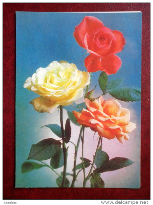 red yellow roses - flowers - 1983 - Russia USSR - used - JH Postcards