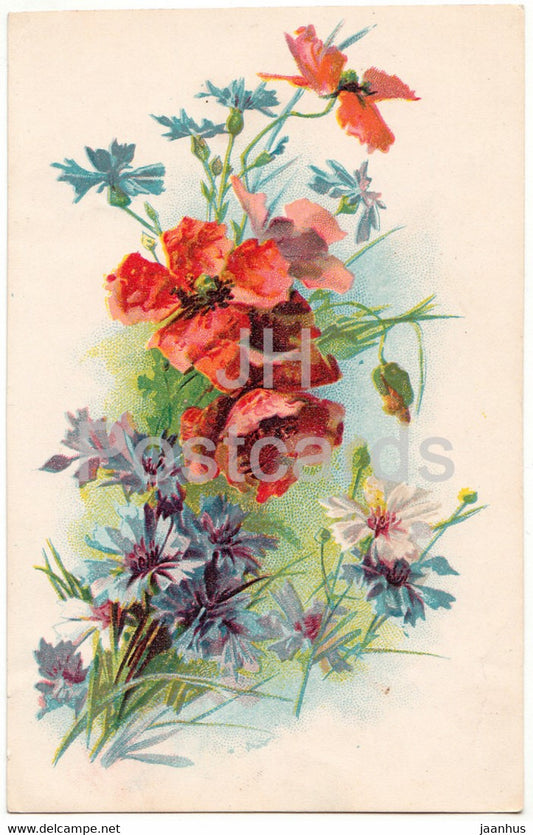 field flowers - 3 - illustration - old postcard - France - used - JH Postcards