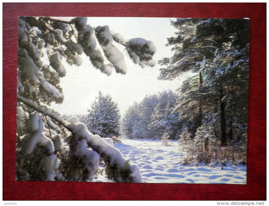 New Year greeting card - winter forest - 1984 - Russia USSR - used - JH Postcards