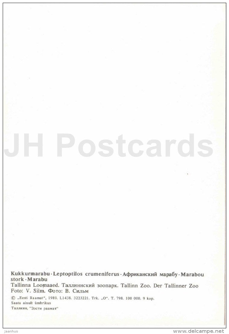 Marabou stork - Leptoptilos crumenifer - bird - large format card - Tallinn Zoo 50 - 1989 - Estonia USSR - unused - JH Postcards