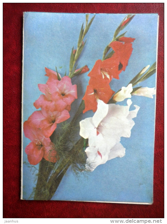 telegram - gladiolus - flowers - 1975 - Russia USSR - used - JH Postcards