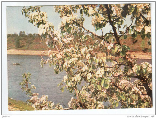 Spring-time on the banks of Daugava - Latvia USSR - unused - JH Postcards